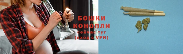 шишки Михайловка