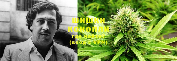 шишки Михайловка