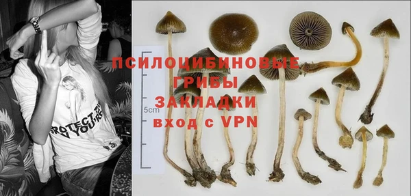 ALPHA PVP Михайлов