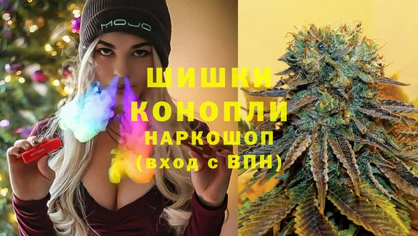 ПСИЛОЦИБИНОВЫЕ ГРИБЫ Вязьма