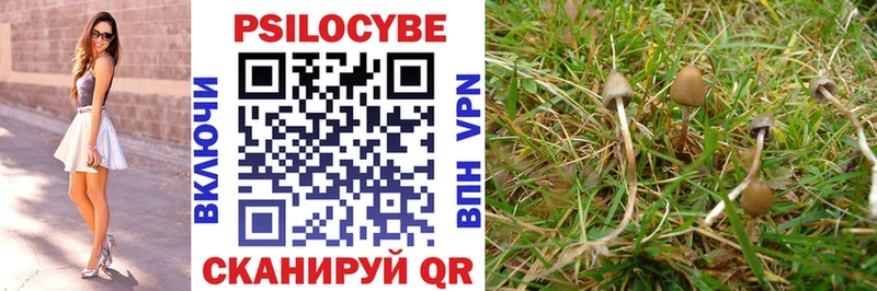 Псилоцибиновые грибы GOLDEN TEACHER  Новосокольники 